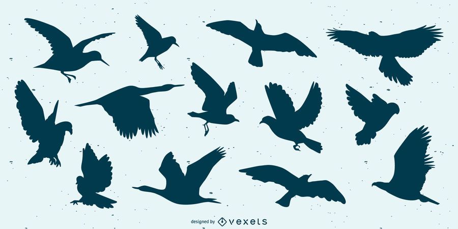 Fliegender Vogel Silhouette Set Vektor Download