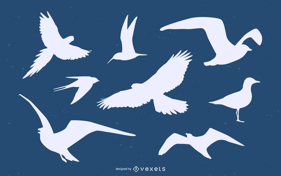 Bird Silhouette Pack Bird Silhouette Pack