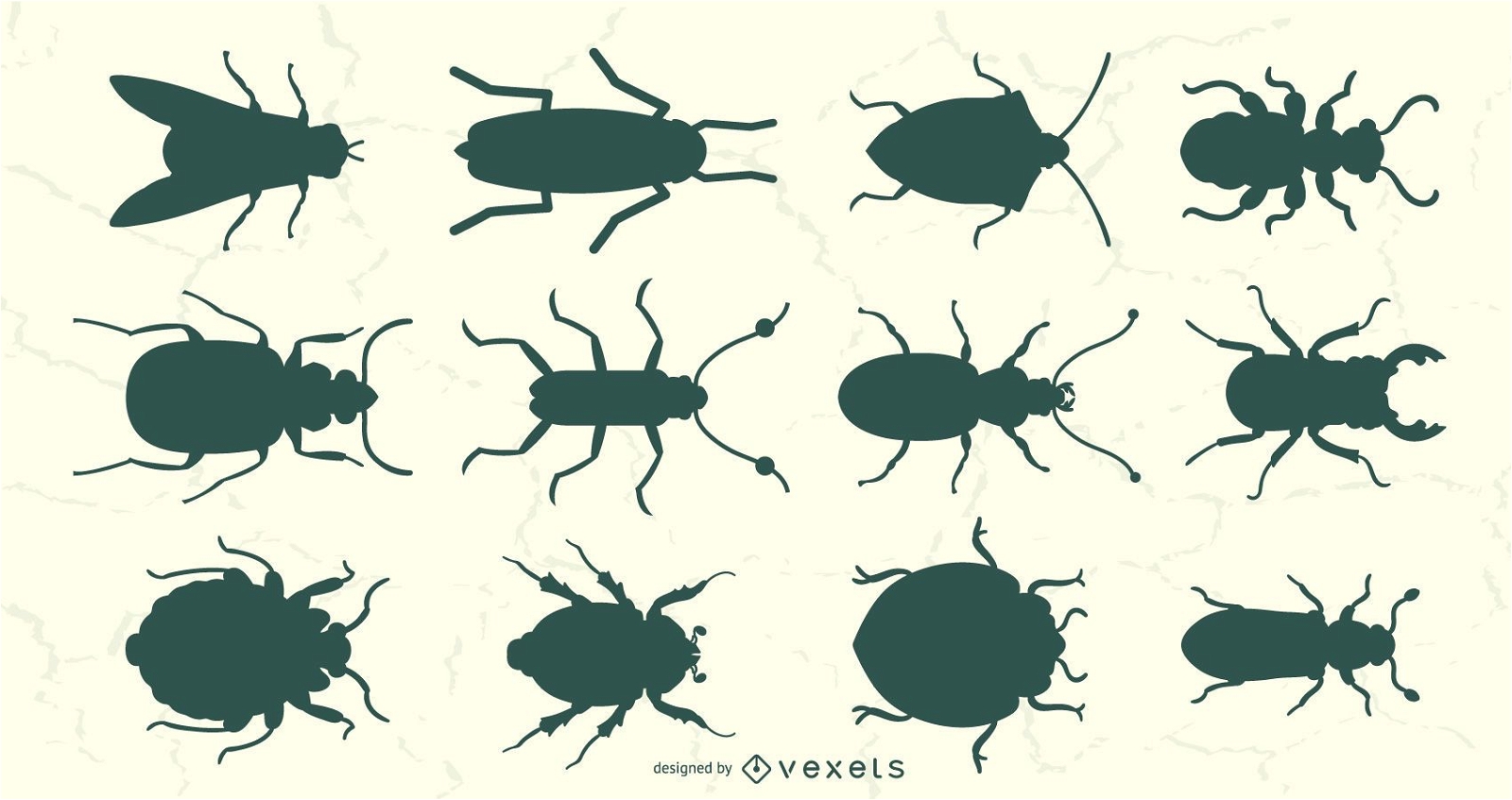 Conjunto de silhuetas de insetos com vista superior