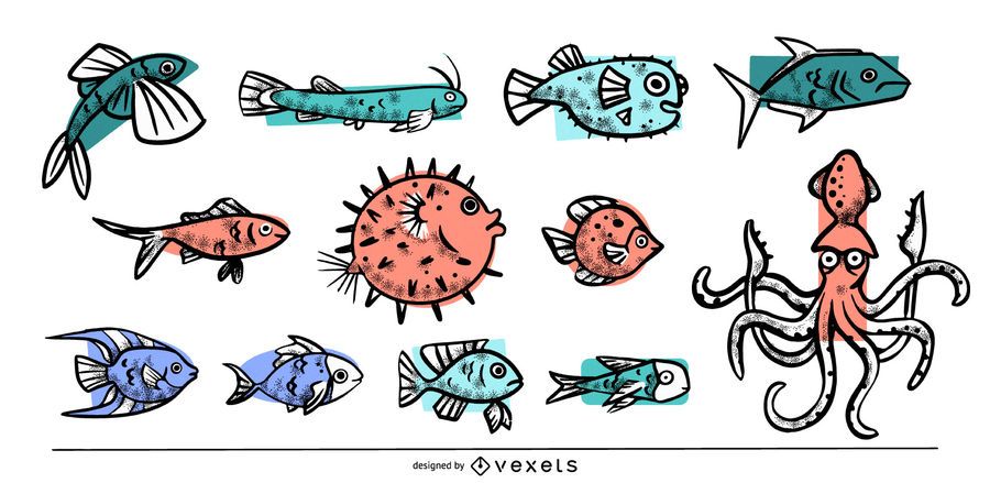 Colección coloreada de animales marinos Colección coloreada de animales marinos