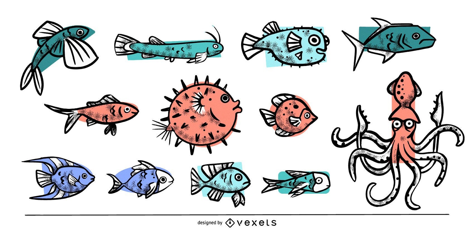 Sea animals colored collection