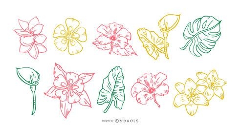 Conjunto de pinceladas de flores tropicais