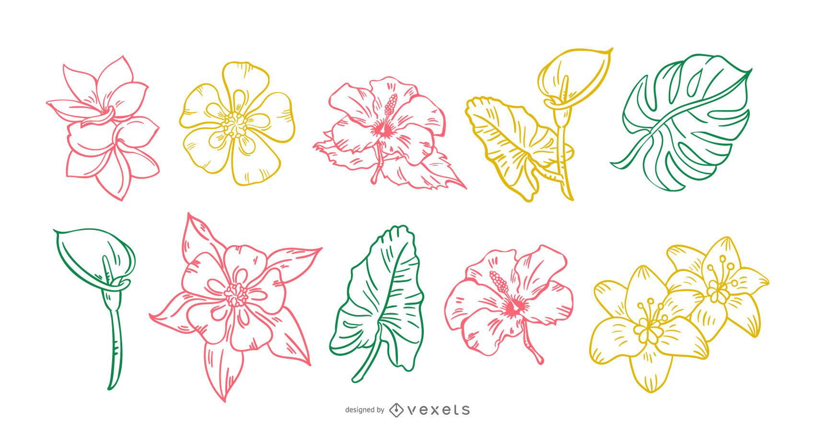 Conjunto de trazos dibujados a mano de flores tropicales