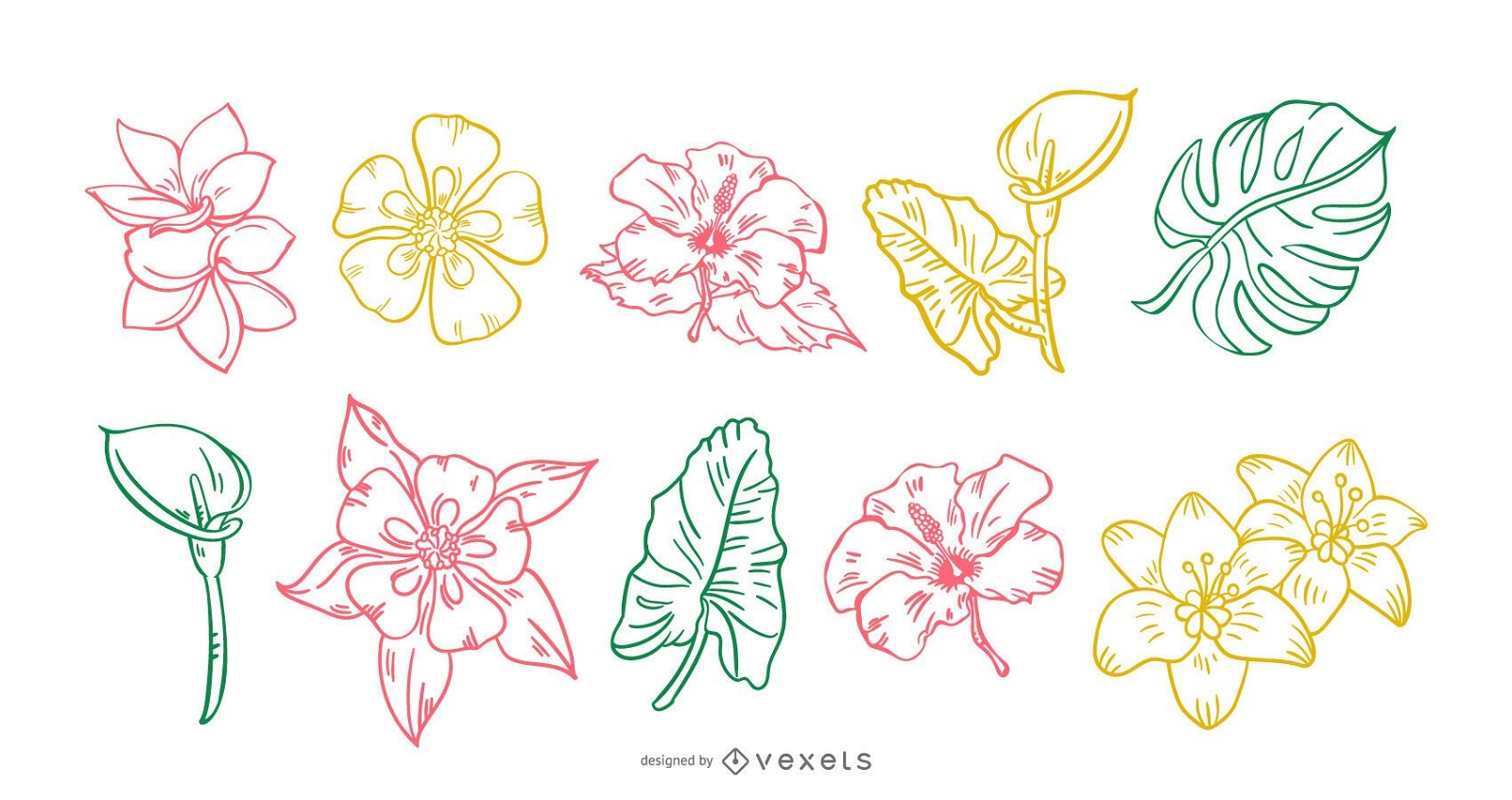 Tropische Blume Handgezeichnetes Strichset