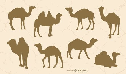 Camel silhouette set 