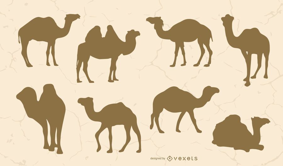 Camel silhouette set Camel silhouette set