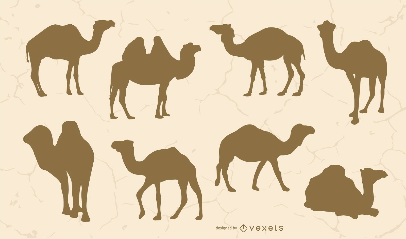Conjunto de silhueta de camelo