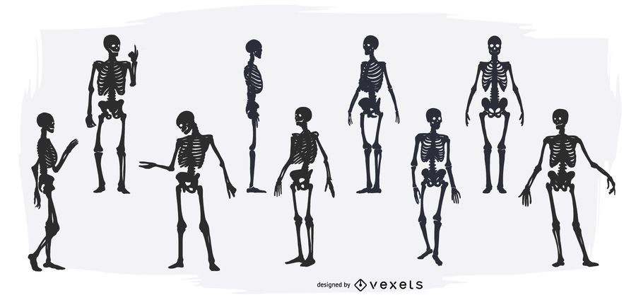 Skeleton silhouette set Skeleton silhouette set