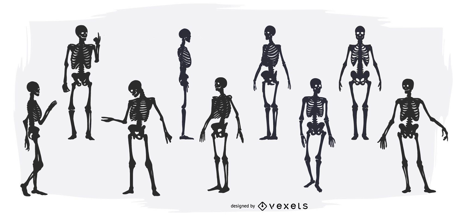 Conjunto de silueta de esqueleto