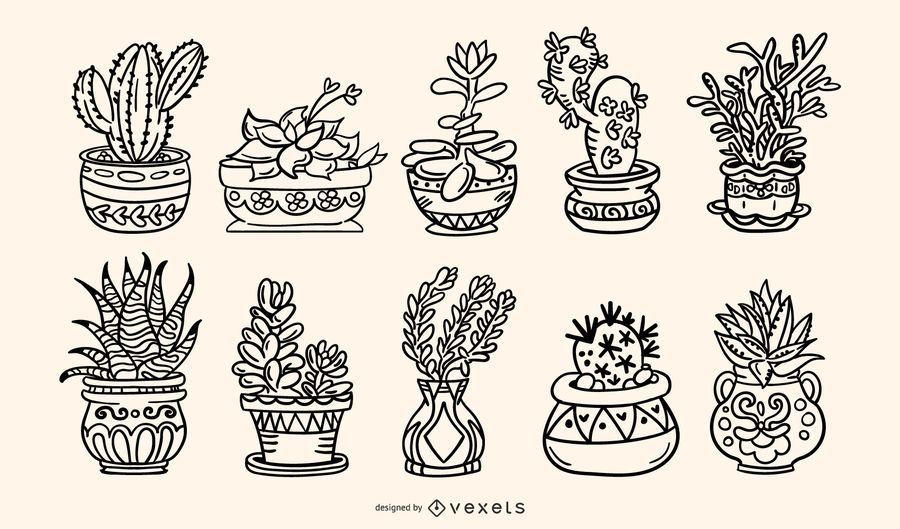 Paquete de ilustraciones de trazos dibujados a mano de plantas suculentas Paquete de ilustraciones de trazos dibujados a mano de plantas suculentas
