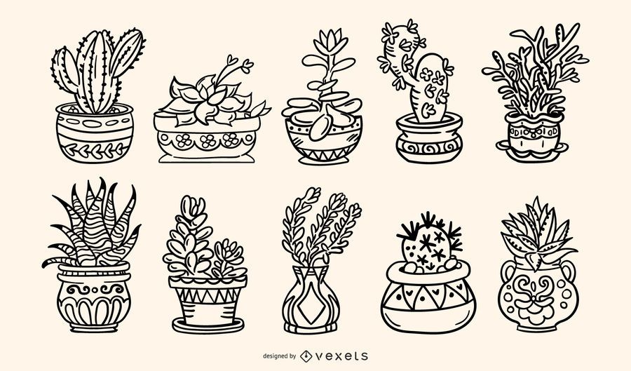 Succulent Plants Handdrawn Stroke Illustration Pack Vector Download