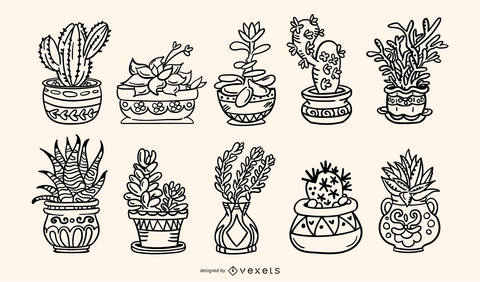 Paquete de ilustraciones de trazos dibujados a mano de plantas suculentas