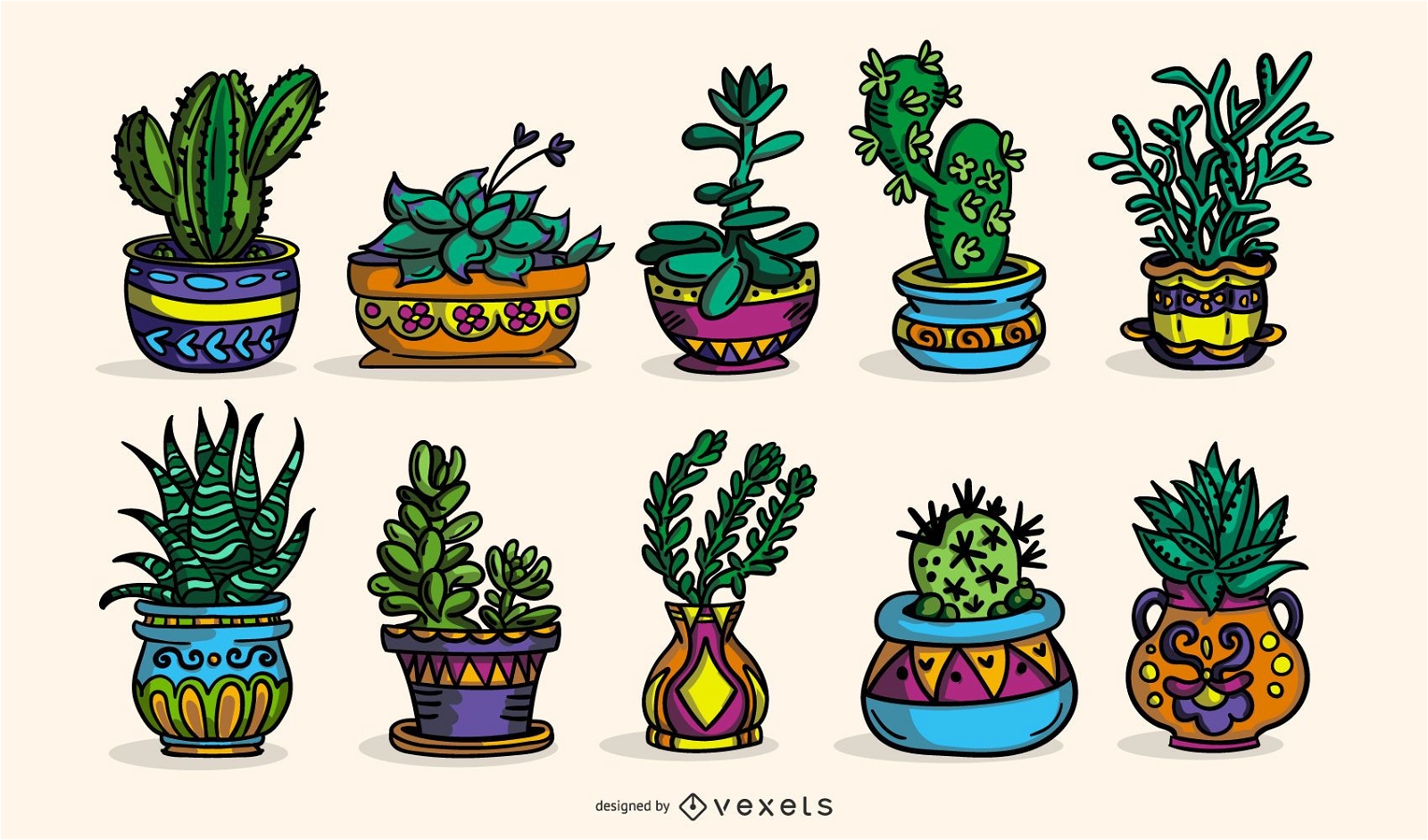 Succulent Plants Colored Illustration Collection