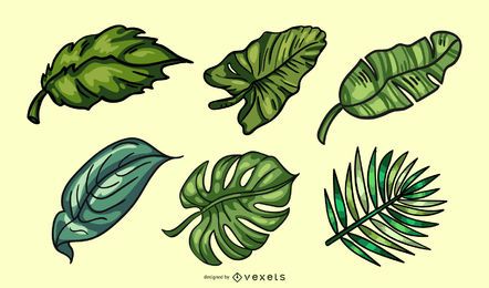Pacote de folhas tropicais coloridas desenhadas à mão Pacote de folhas tropicais coloridas desenhadas à mão