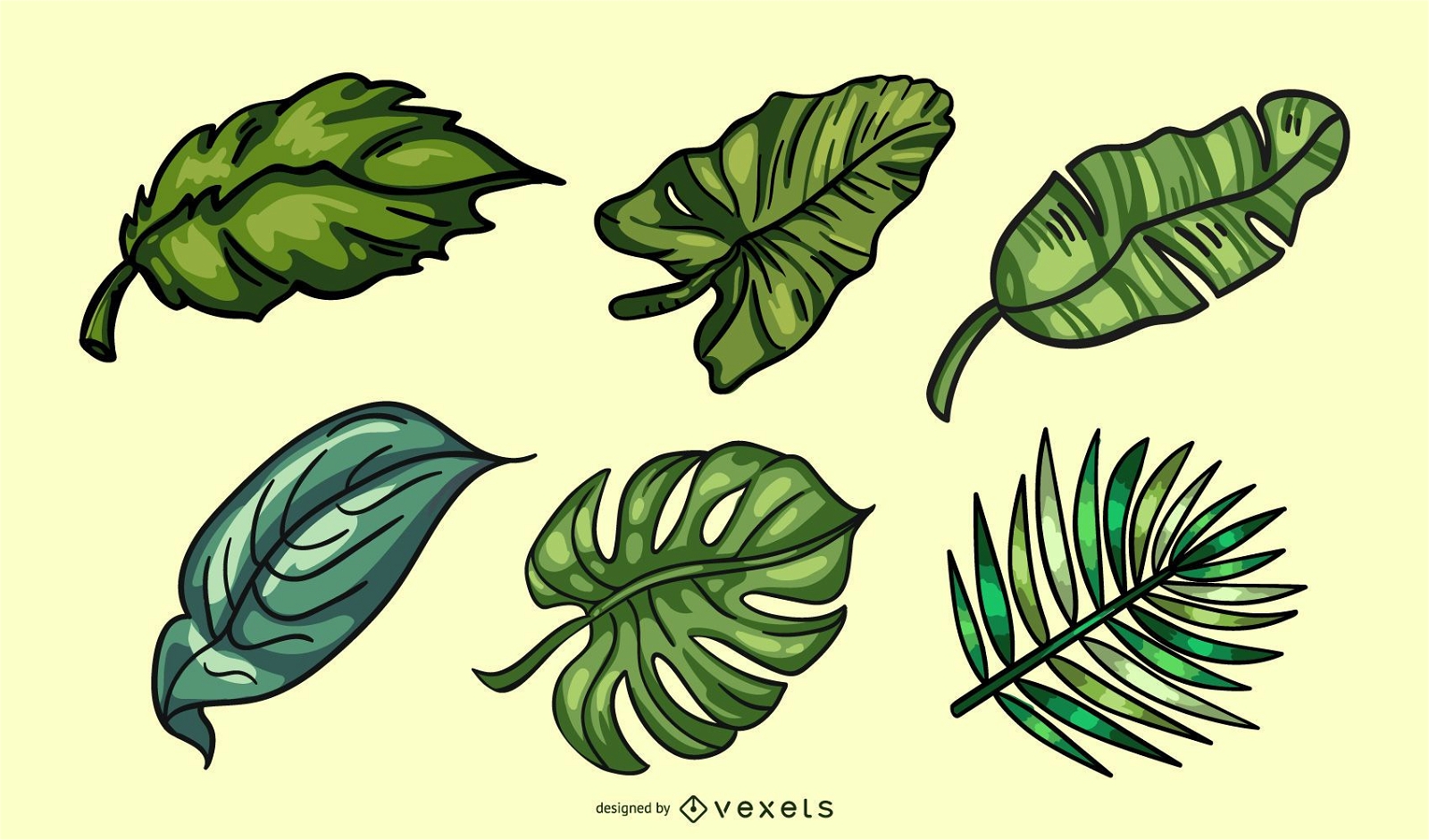 Paquete de hojas tropicales de colores dibujados a mano