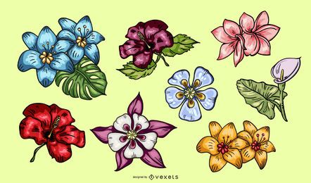 Paquete de ilustraciones de flores tropicales