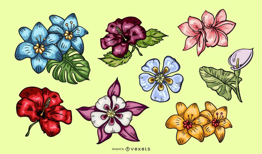 Pacote de ilustração de flores tropicais Pacote de ilustração de flores tropicais