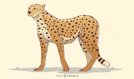 Cheetah illustration design Cheetah illustration design