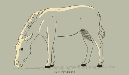 Ilustração desenhada à mão de zebra