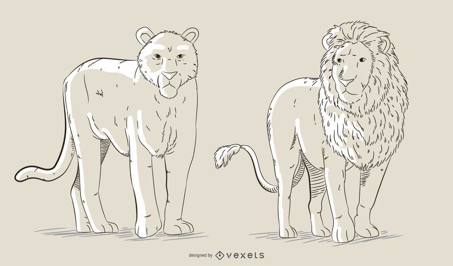 Conjunto de vetores de felinos desenhados à mão Conjunto de vetores de felinos desenhados à mão