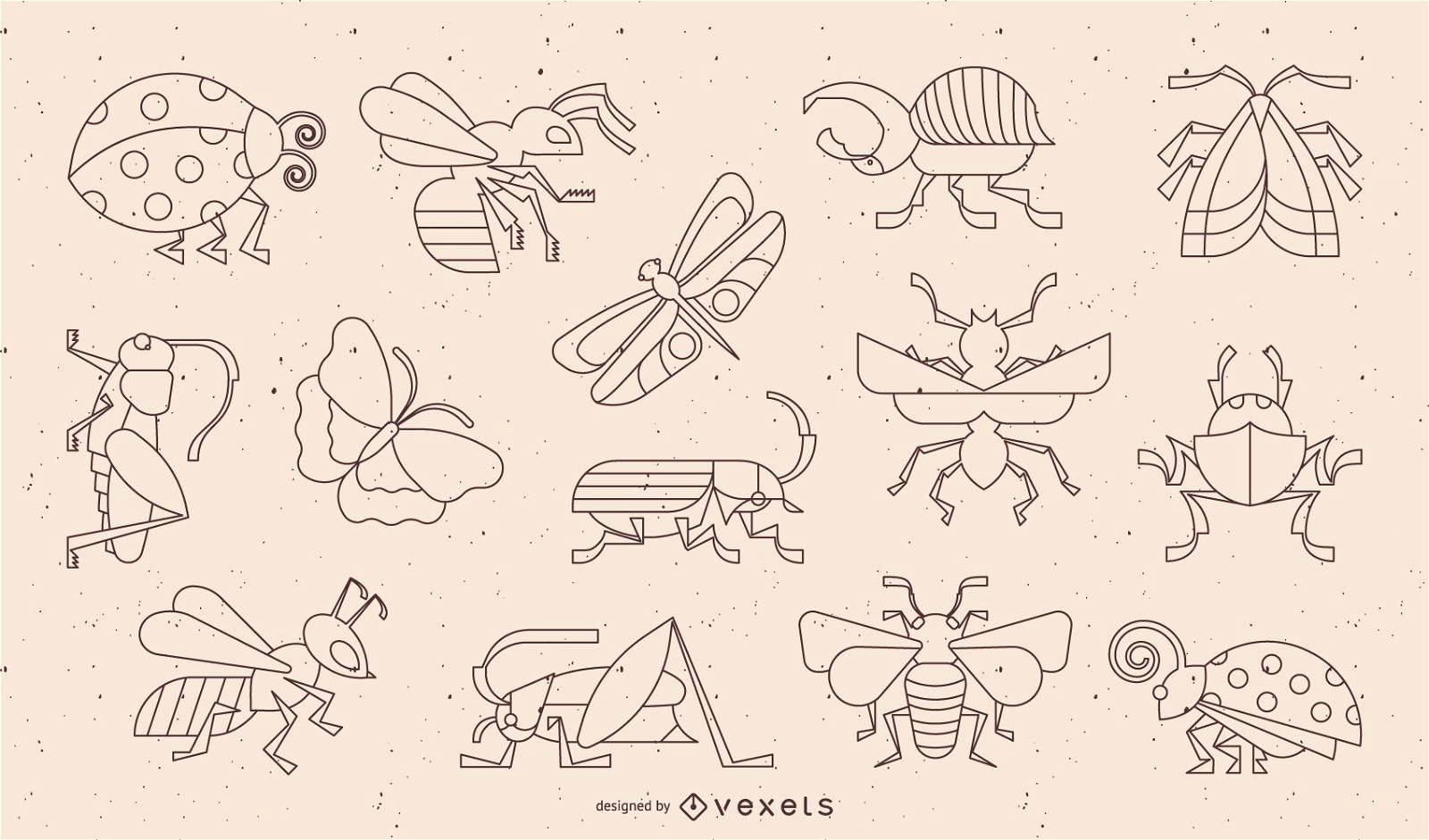 Design-Sammlung für geometrische Striche von Insekten