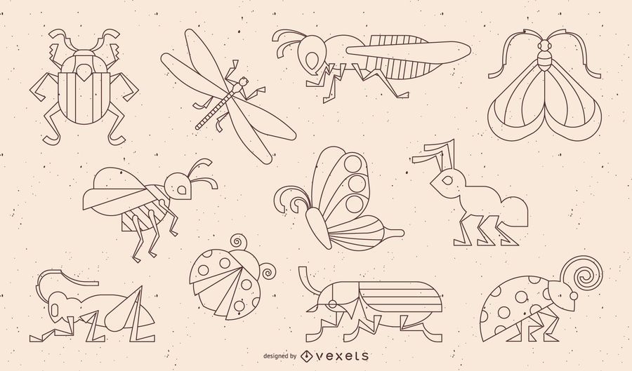 Insect Stroke Line Collection Insect Stroke Line Collection