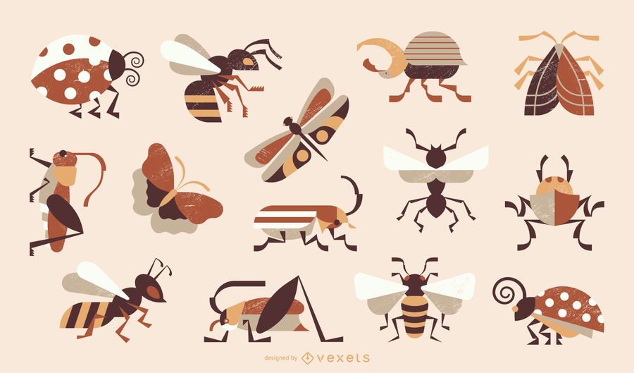 Insekten geometrischen Stil farbige Sammlung Insekten geometrischen Stil farbige Sammlung