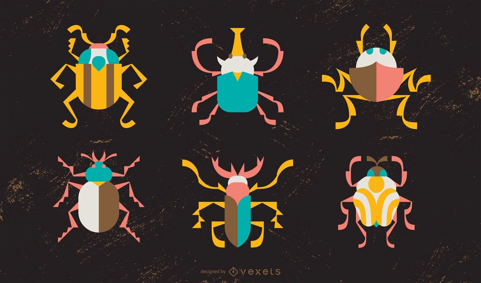 Beetle Colorful Illustration Pack