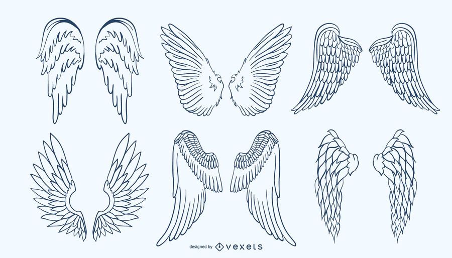 Handdrawn Wing Set Handdrawn Wing Set