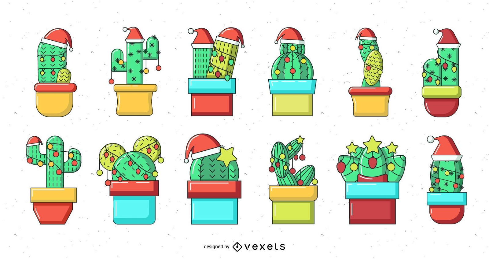 Christmas cactus collection