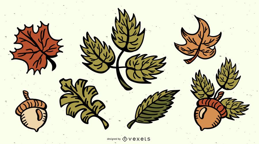 Fall Leaves Colored Illustration Pack Fall Leaves Colored Illustration Pack