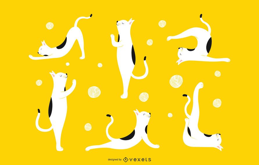 Conjunto de animales de gato de yoga Conjunto de animales de gato de yoga