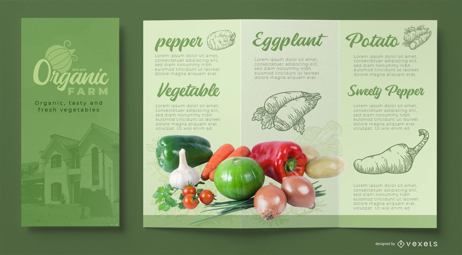 Organic farm brochure template