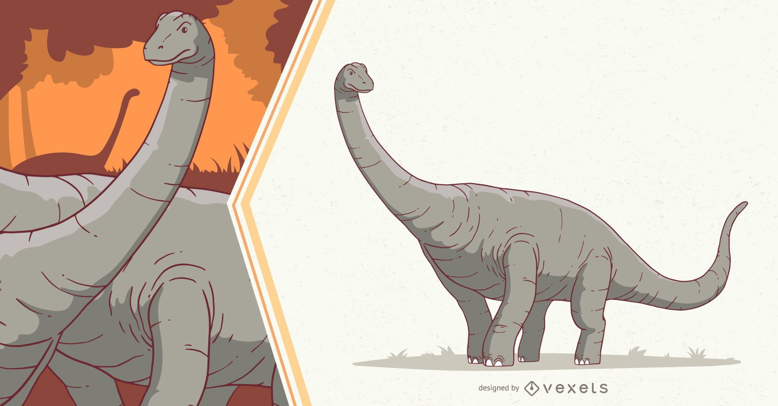 Diplodocus Dinosaur Illustration