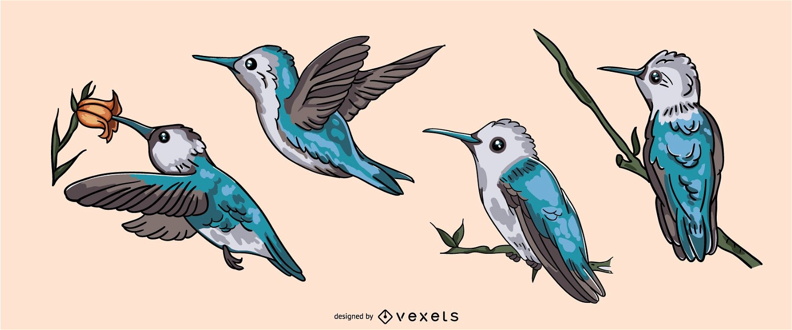 Realistischer Kolibri-Illustrationssatz