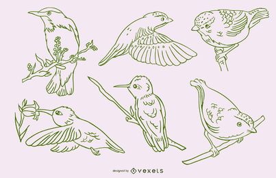 Pájaros realistas trazo verde conjunto Pájaros realistas trazo verde conjunto