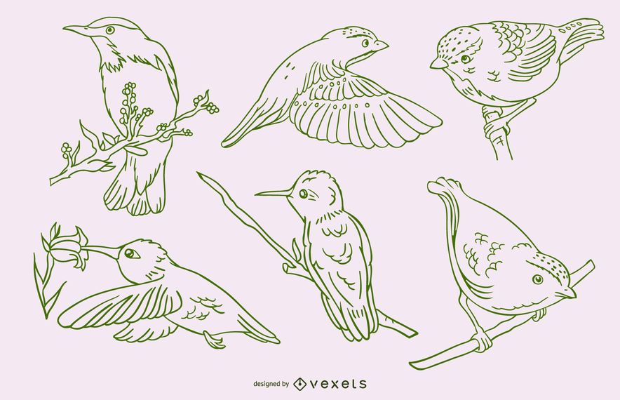 Realistic birds stroke green set Realistic birds stroke green set