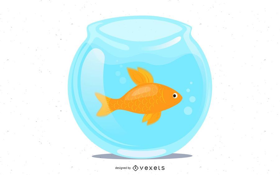 Jumping Goldfish Jumping Goldfish