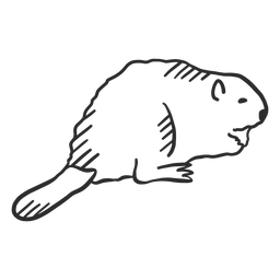 Animal de doodle de rabo de roedor de castor Desenho PNG