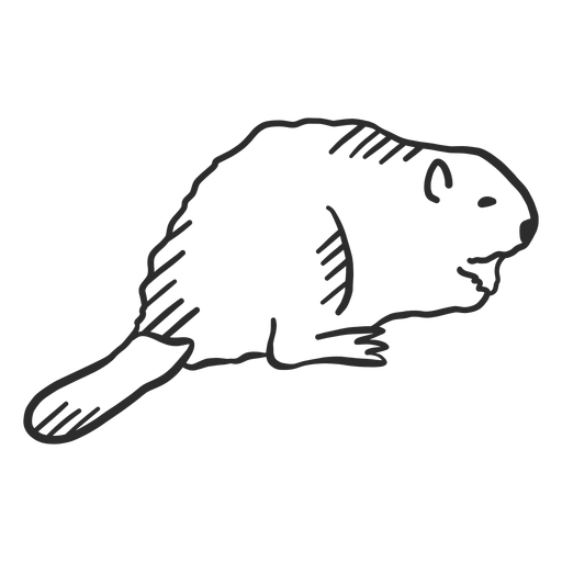 Castor roedor cola doodle animal Diseño PNG