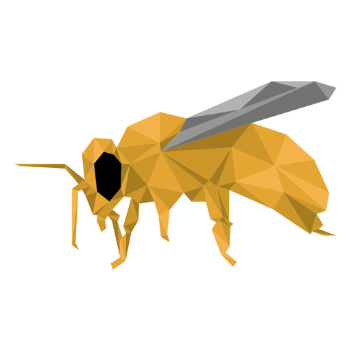Bienenbeinwespenflügel niedriges Polyinsekt PNG-Design