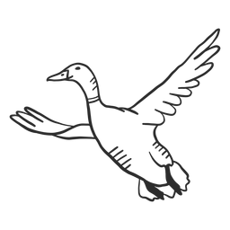 Duck drake wild duck beak wing flying doodle bird PNG Design