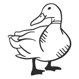 Duck drake wild duck wing beak doodle bird PNG Design