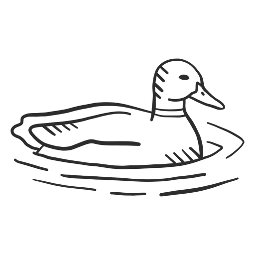 Pato ala de drake pato salvaje pico garabato Diseño PNG