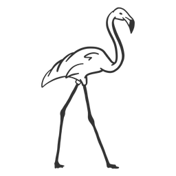 Flamingo Schnabel Hals Bein Gekritzel Vogel PNG-Design