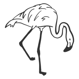 Flamingo leg neck beak doodle bird PNG Design