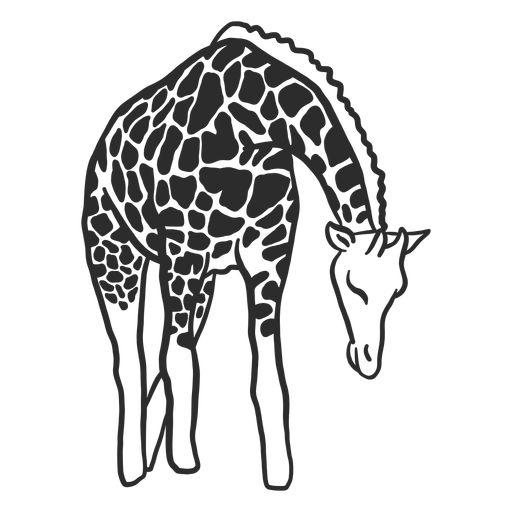 Giraffe spot neck ossicones doodle animal PNG Design