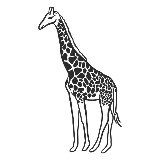 Download Giraffe Spot Neck Ossicones Tail Doodle Animal Transparent Png Svg Vector File