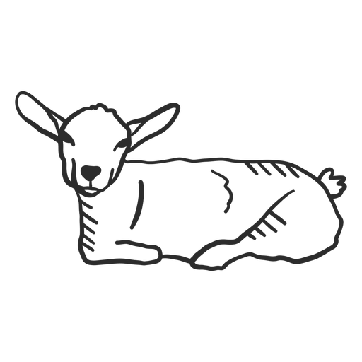 Oreja de cola de cabra doodle animal Diseño PNG