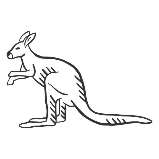 Canguro oreja cola pierna doodle animal Diseño PNG